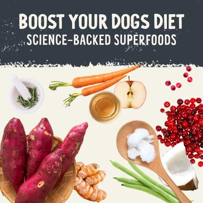 Show full view: Health Extension Beef Recipe Freeze-Dried Raw Dog Food, 12-oz bag slide 7 of 10