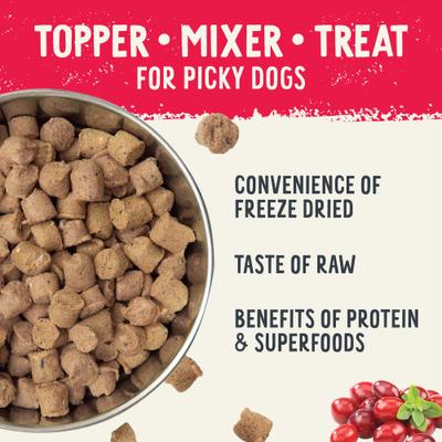 Show full view: Health Extension Beef Recipe Freeze-Dried Raw Dog Food, 12-oz bag slide 4 of 10