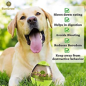 SunGrow Slow Feeder Treat Dispensing Ball Pet Toy