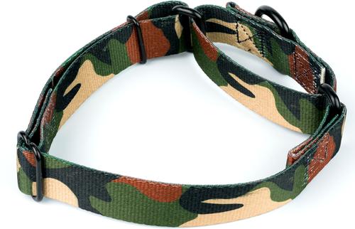 Show full view: Country Brook Petz Woodland Camo HD Martingale Dog Collar, Green, Small slide 3 of 5