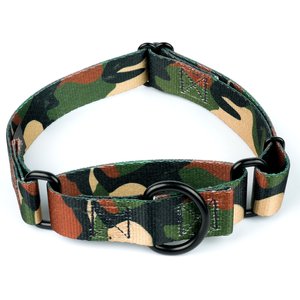 Country Brook Petz Woodland Camo HD Martingale Dog Collar, Green, Small