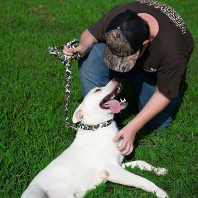 Show full view: Country Brook Petz Woodland Bone Camo Martingale Dog Collar, Green, 2X-Small slide 2 of 7