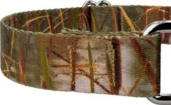Country Brook Petz Waterfowl Camo Martingale Dog Collar, Green, Large slide 2 of 6