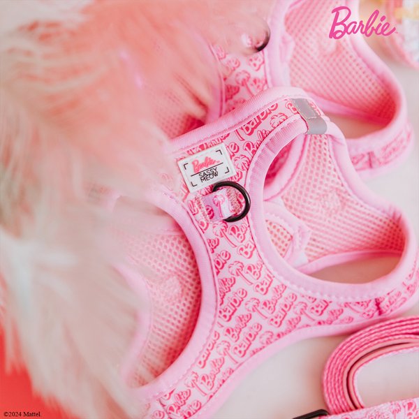 Show full view: Sassy Woof Barbie Malibu Cat Leash, Pink, 6-ft long, 0.6-in wide slide 4 of 4
