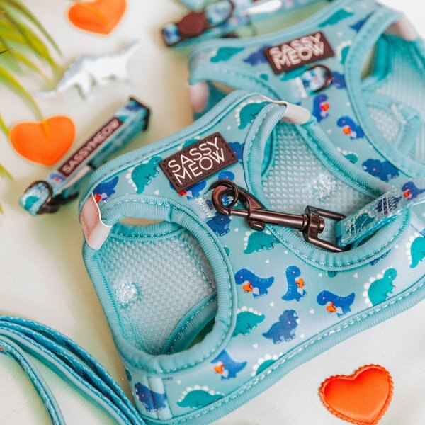 Sassy Woof Dino Darling Step-in Cat Harness, Green