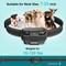 Show in main carousel: PATPET Waterproof Stubborn Dog Remote Training Collar slide 7 of 9