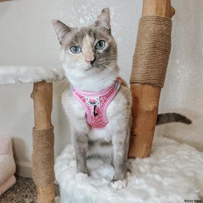 Show full view: Sassy Woof Barbie Malibu Step-in Cat Harness, Pink, X-Small: 12 to 14.5-in chest slide 5 of 8