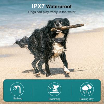 Show full view: PATPET Waterproof Stubborn Dog Remote Training Collar slide 3 of 9