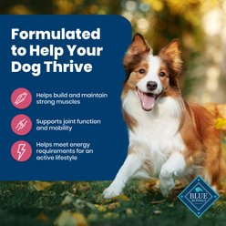 Blue Buffalo Life Protection Formula Adult Salmon & Brown Rice Recipe Dry Dog Food, 30-lb bag slide 2 of 9