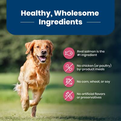 Blue Buffalo Life Protection Formula Adult Salmon & Brown Rice Recipe Dry Dog Food