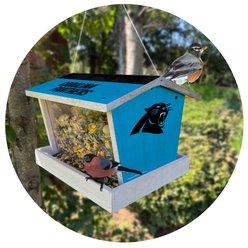 Fan Creations Bird Feeder, Carolina Panthers