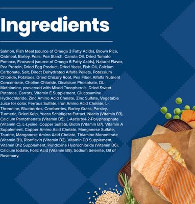 Blue Buffalo Life Protection Formula Adult Salmon & Brown Rice Recipe Dry Dog Food