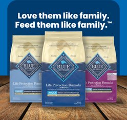 Blue Buffalo Life Protection Formula Adult Salmon & Brown Rice Recipe Dry Dog Food, 5-lb bag slide 2 of 9