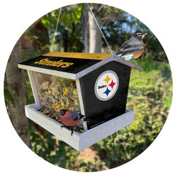 Fan Creations Bird Feeder, Pittsburgh Steelers