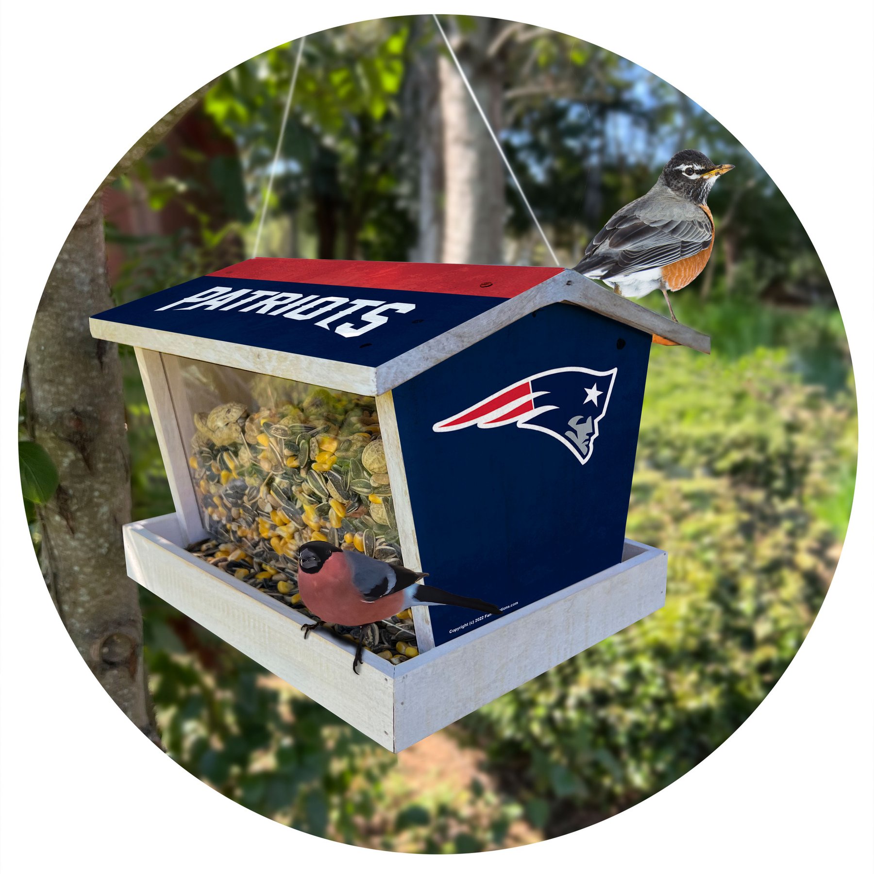 Fan Creations Bird Feeder, New England Patriots