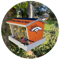 Fan Creations Bird Feeder, Denver Broncos