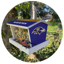 Fan Creations Bird Feeder, Baltimore Ravens