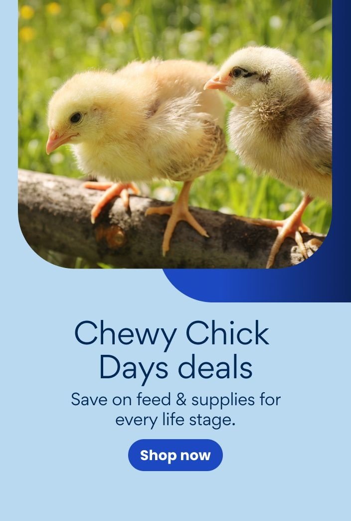 Chewy Chick Days deals. Save on feed & supplies for every life stage. Shop now.