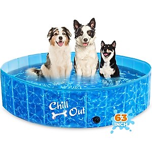 allforpaws Chill Out Splash And Fun Pool Dog Toy, Large