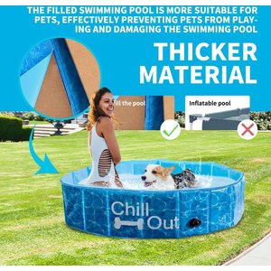 allforpaws Chill Out Splash & Fun Pool Dog Toy, Medium