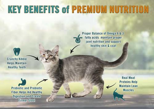 Show full view: Chicken Soup for the Soul Kitten Chicken, Brown Rice & Pea Recipe Dry Cat Food, 12-lb bag slide 5 of 13