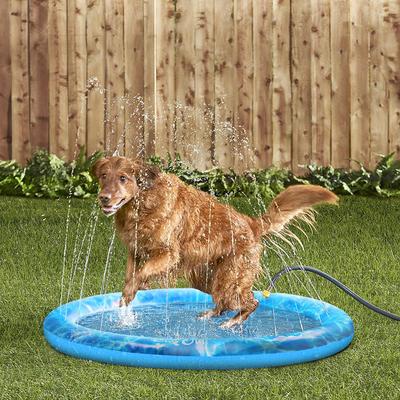 Show full view: allforpaws Chill Out Sprinkler Fun Mat Dog Toy, Medium slide 9 of 10
