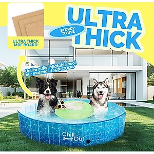 allforpaws Chill Out Splash And Fun Pool Dog Toy, Large