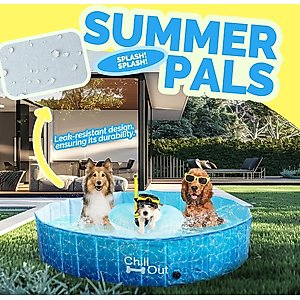 allforpaws Chill Out Splash And Fun Pool Dog Toy, Large