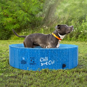 allforpaws Chill Out Splash & Fun Pool Dog Toy, Medium