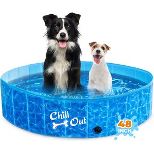 allforpaws Chill Out Splash & Fun Pool Dog Toy, Medium
