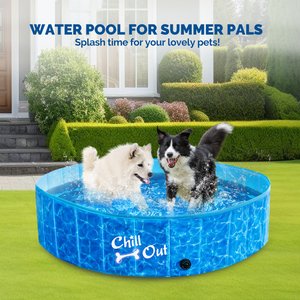 allforpaws Chill Out Splash & Fun Pool Dog Toy, Medium