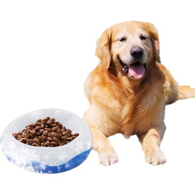 allforpaws allforpaws Chill Out Cooler Dog & Cat Pet Bowl, 6-cup