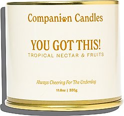 Companion Candles You Got This! Tropical Nectar & Florals Scented Pet-Friendly Candle, 11.8-oz jar