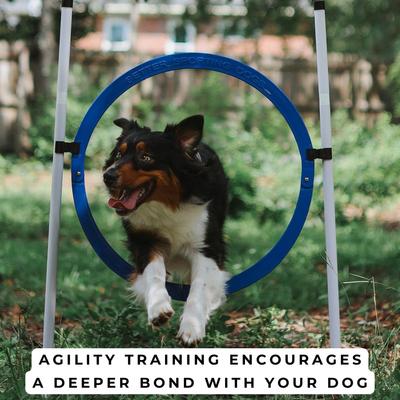 Show full view: Better Sporting Dogs 4 Pack Dog Agility Jump Set slide 6 of 10