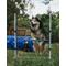 Show in main carousel: Better Sporting Dogs 5 Piece Safety-Focused Dog Agility Set slide 9 of 10