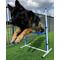 Show in main carousel: Better Sporting Dogs 7 Piece Safety-Focused Dog Agility Set slide 8 of 10