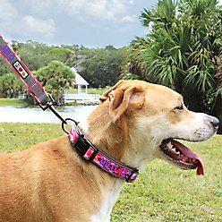 Pawtitas Personalized Reflective Dog Collar, Camouflage Grey, Small: 11 to 16-in neck, 5/8-in wide slide 2 of 9