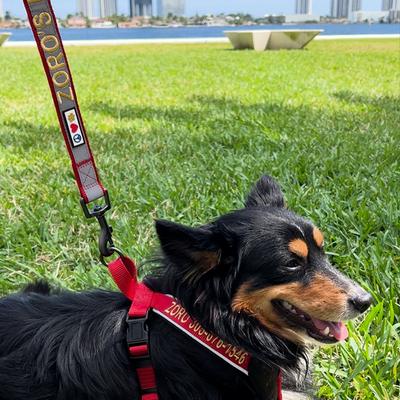 Show full view: Pawtitas Personalized Reflective Dog Harness, Pink Camo, Large: 28 to 35-in chest slide 4 of 10