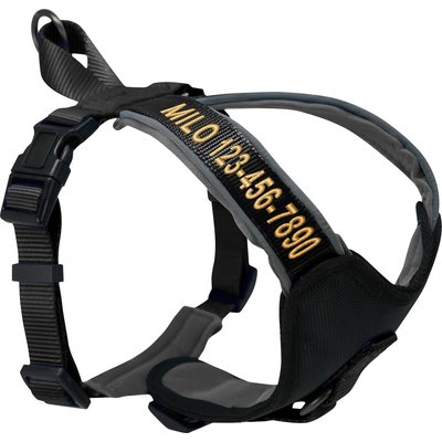 Pawtitas Pawtitas Personalized Reflective Dog Harness, Black, Small: 16 to 20-in chest