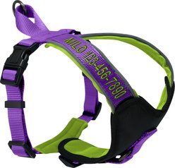 Pawtitas Personalized Reflective Dog Harness, Purple, Medium: 21 to 28-in chest