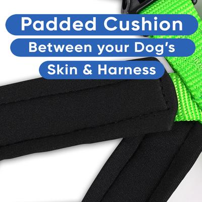 Show full view: Pawtitas Personalized Reflective Dog Harness, Green, Medium: 21 to 28-in chest slide 7 of 10