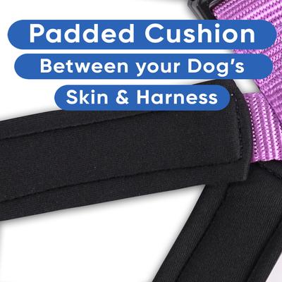 Show full view: Pawtitas Personalized Reflective Dog Harness, Orchid, Large: 28 to 35-in chest slide 7 of 10