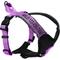 Show in main carousel: Pawtitas Personalized Reflective Dog Harness, Orchid, Large: 28 to 35-in chest slide 1 of 10