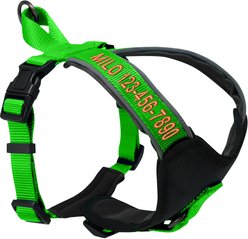 Pawtitas Personalized Reflective Dog Harness, Green, Medium: 21 to 28-in chest