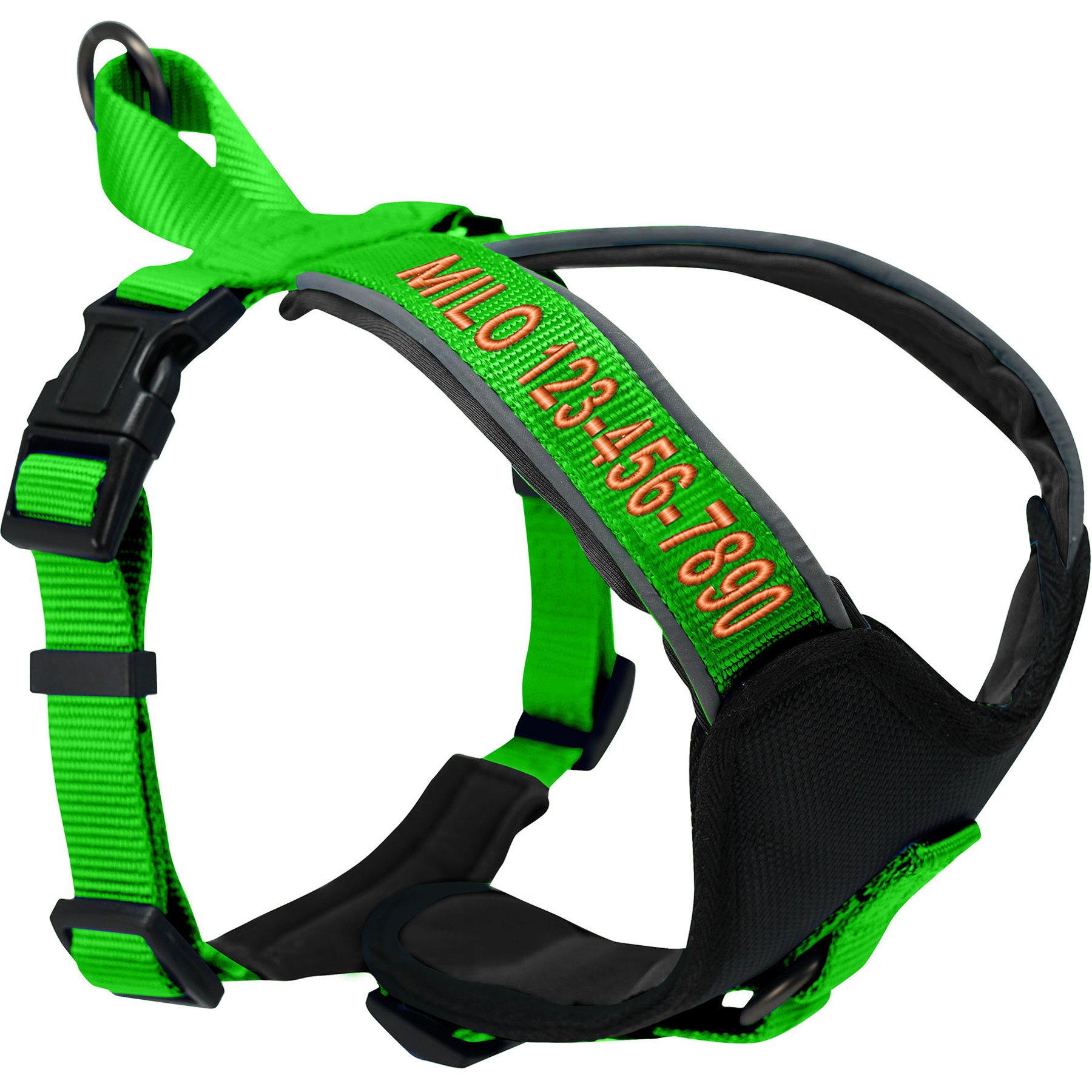 Pawtitas Personalized Reflective Dog Harness, Green, Small: 16 to 20-in chest