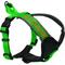 Show in main carousel: Pawtitas Personalized Reflective Dog Harness, Green, Medium: 21 to 28-in chest slide 1 of 10