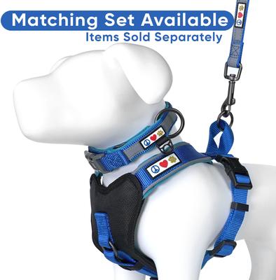 Show full view: Pawtitas Personalized Reflective Dog Harness, Blue, Large: 28 to 35-in chest slide 8 of 10