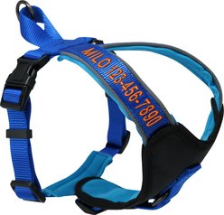 Pawtitas Personalized Reflective Dog Harness, Blue, Large: 28 to 35-in chest