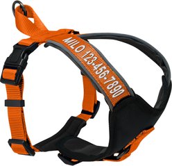 Pawtitas Personalized Reflective Dog Harness, Orange, Large: 28 to 35-in chest