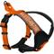 Show in main carousel: Pawtitas Personalized Reflective Dog Harness, Orange, Large: 28 to 35-in chest slide 1 of 10
